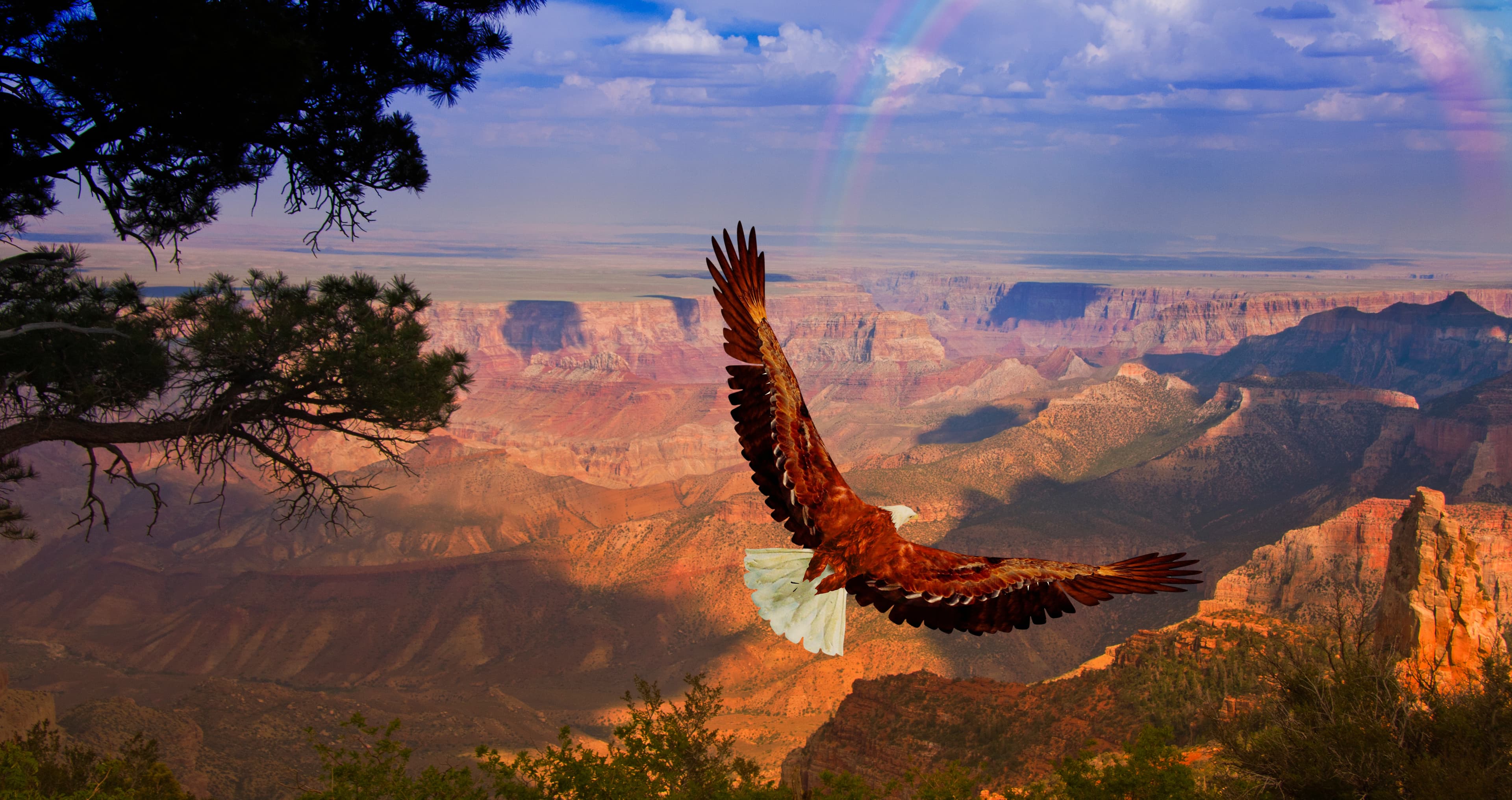 National Wildlife Week - Science